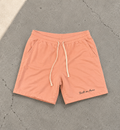 The Light I Kept Shorts